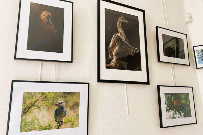 Expo photos de La Biblio