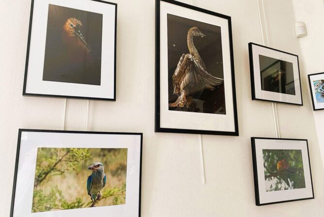 Expo photos de La Biblio