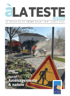 MagLTDBN°5BD.pdf