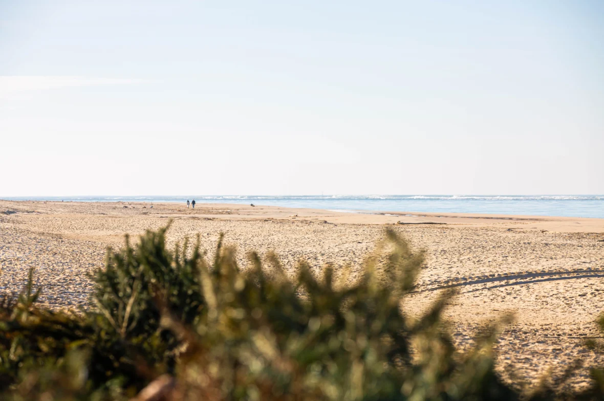 plage-la-lagune