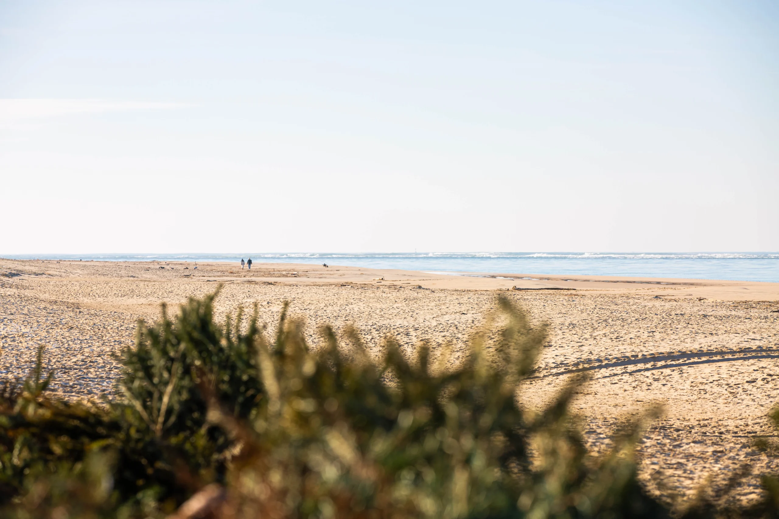 plage-la-lagune