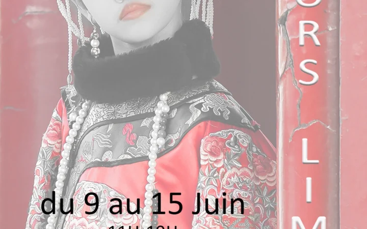 AFFICHE HORS LIMITES PYLA
