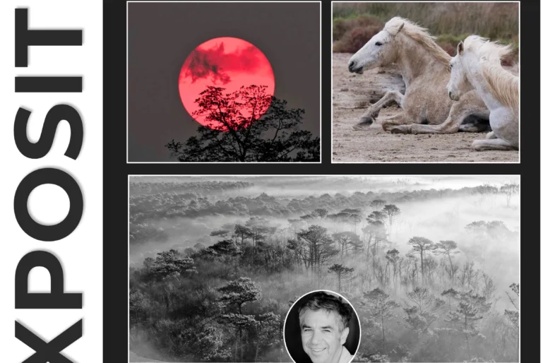 EXPOSITION “Merveilles du Bassin et d'Ailleurs ”-3