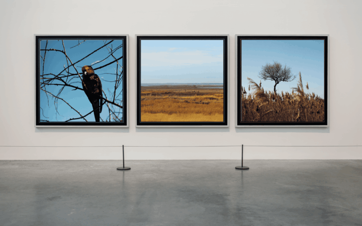 STUDIO_HIBOU-expo