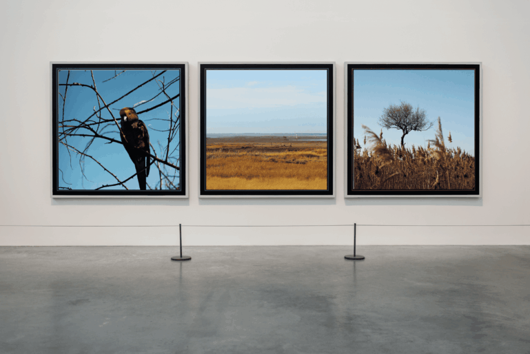 STUDIO_HIBOU-expo