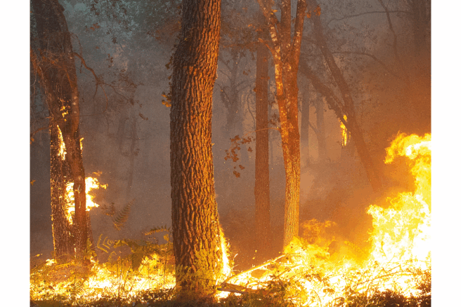 risque de feu de foret