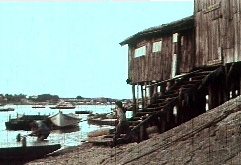 FILM L'ILE AUX OISEAUX - 1 - 1957