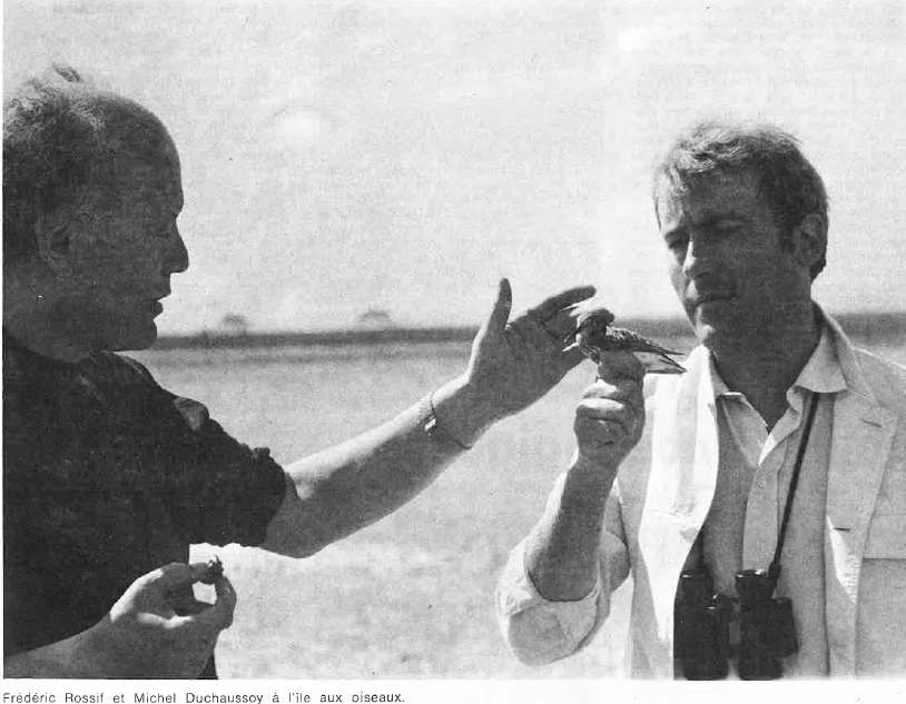 banc-d-Arguin_ROUSSIF&DUCHAUSSOY_Aquitaine_19_1974-08-09 copie