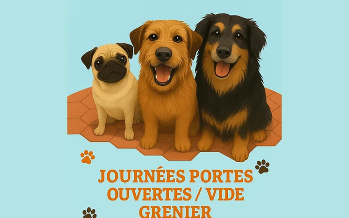 APSDA journée portes ouvertes vide grenier