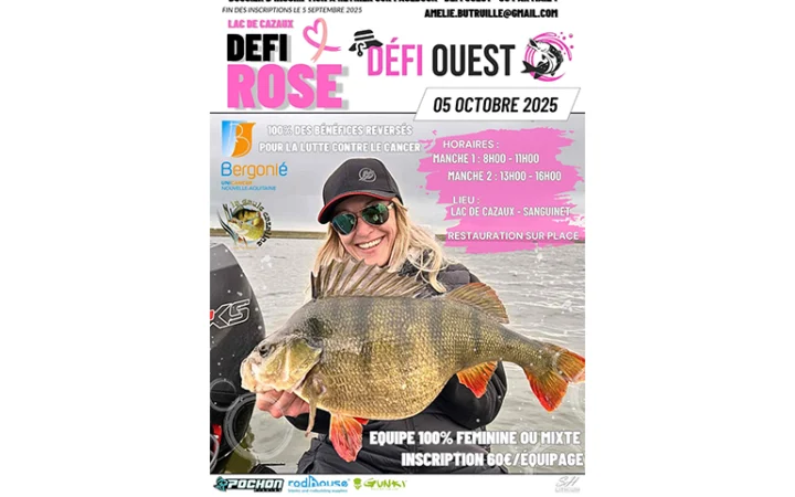 défi rose