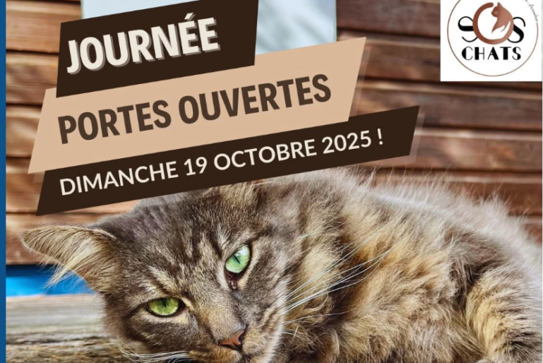 SOS CHATS