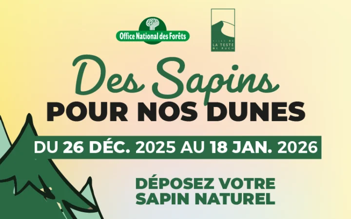Sapins pour nos Dunes