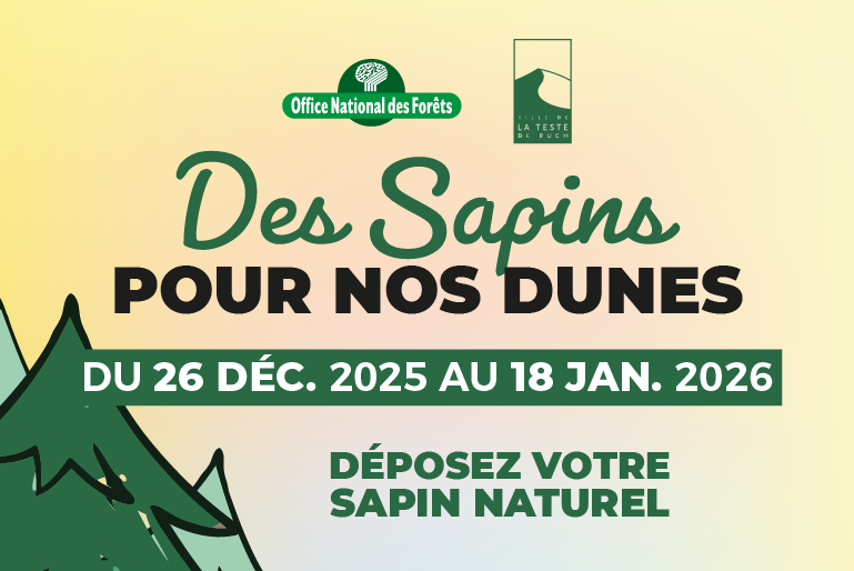Sapins pour nos Dunes