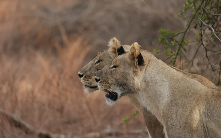 Expo Christophe Bled