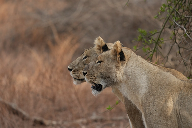 Expo Christophe Bled
