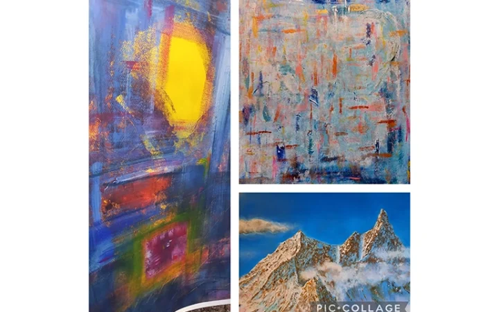 Aude Desjardins Daniel Friart Maud Boutin