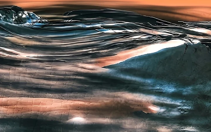 Expo Georges Carneiro