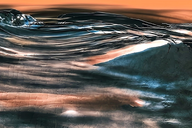 Expo Georges Carneiro