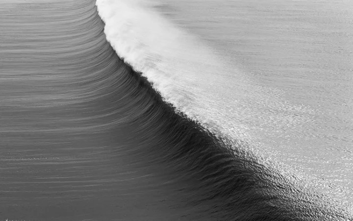 Expo Yannick Le Toquin