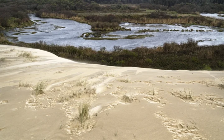 Expo Monthiers Vincent