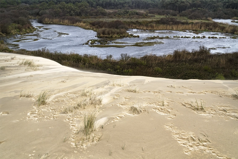 Expo Monthiers Vincent