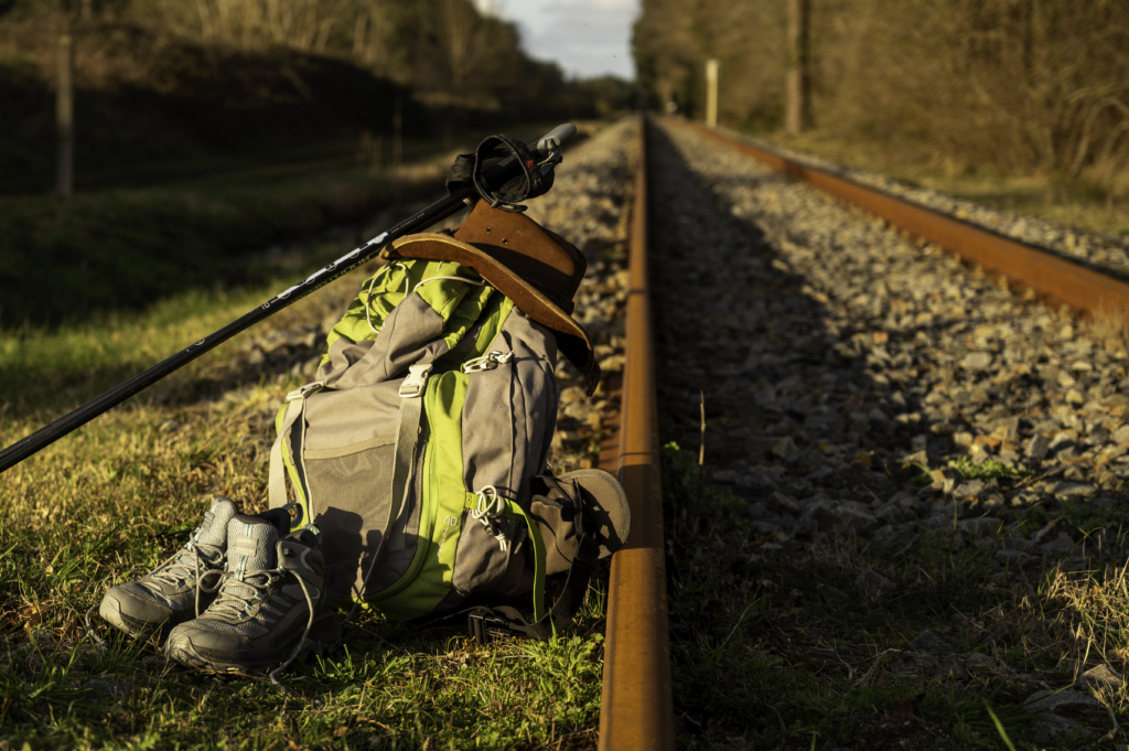 Sortie Exposition photo