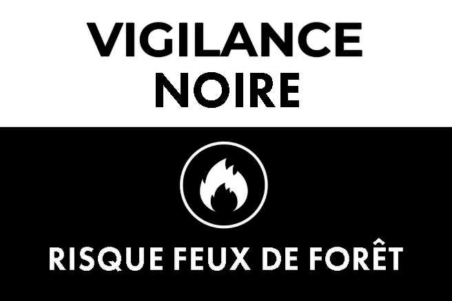 vignette noire