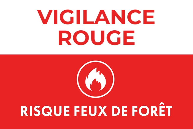 vignette feux de foret