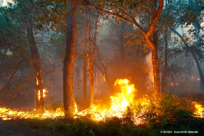 visuel Incendie